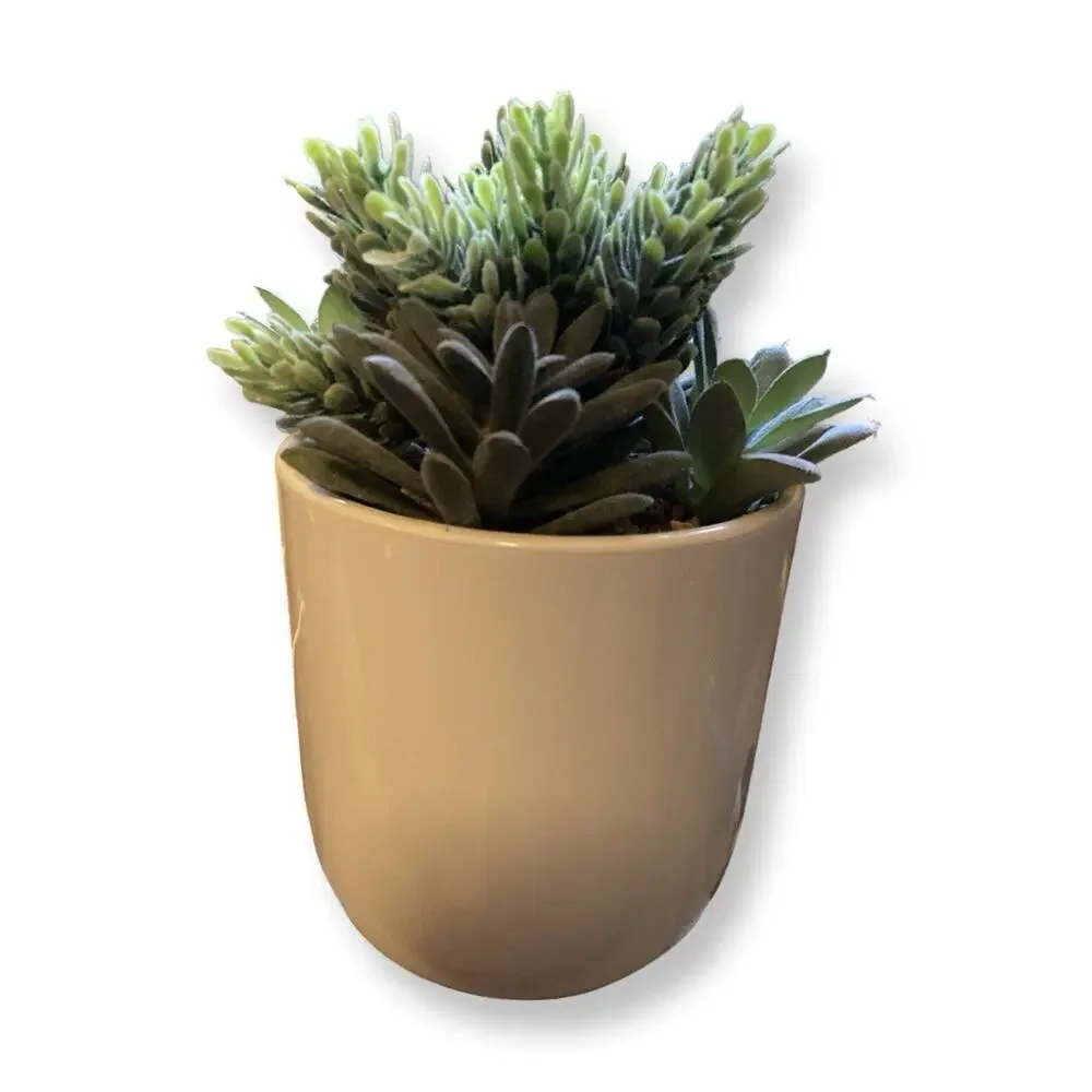 iHome PowerPlant USB Charger Faux Succulent 3 USB Charging Ports USB-C/USB-A - Picture 2 of 5